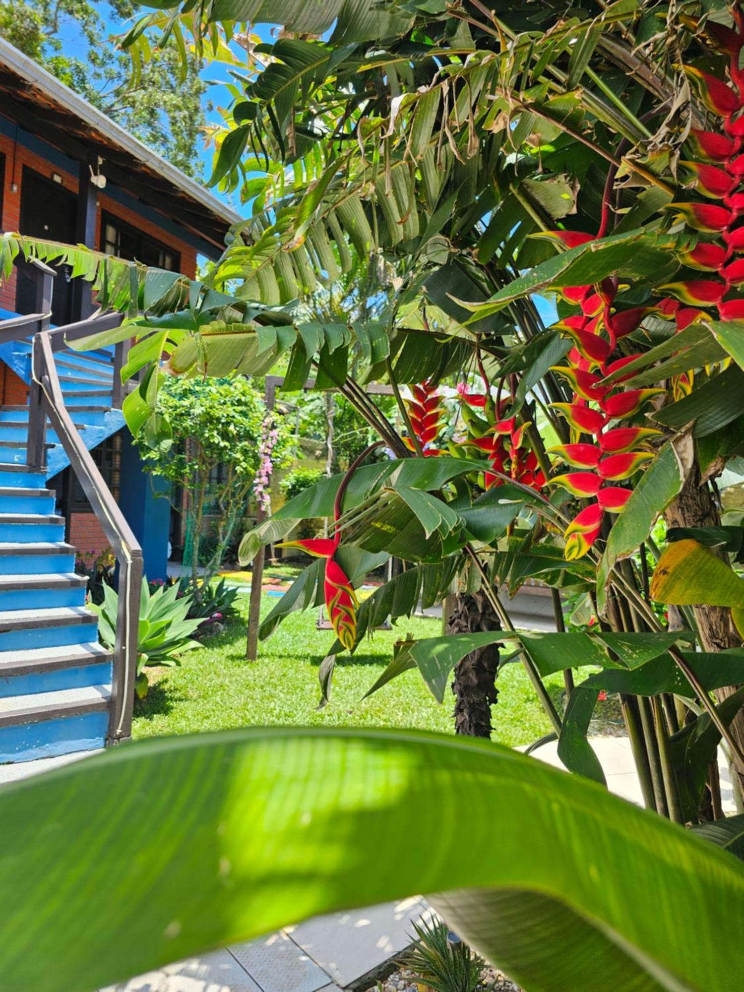 Apartmán Sunshine Residencial Bombinhas Exteriér fotografie